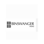biswanger-depconst-peru