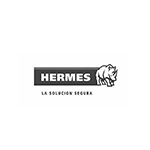 hermes-depconst-peru