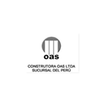 oas-depconst-peru
