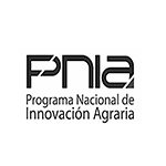 pnia-depconst-peru